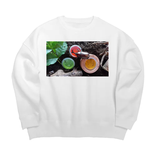 脚長カリブ Big Crew Neck Sweatshirt