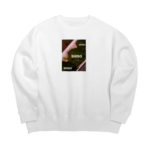 SHISO Big Crew Neck Sweatshirt