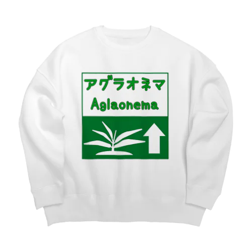 アグラオネマ　高速道路標識風ピクトグラム Big Crew Neck Sweatshirt