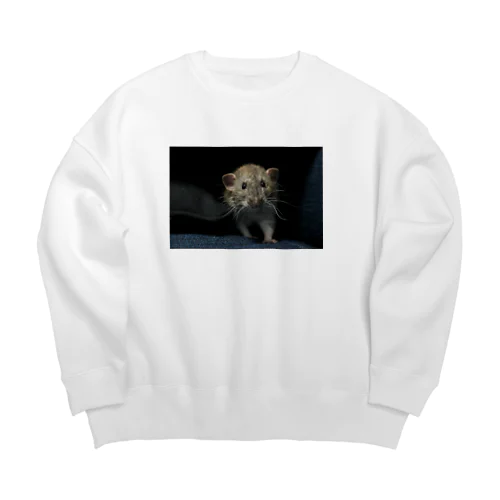 ネズミのトロ助 Big Crew Neck Sweatshirt