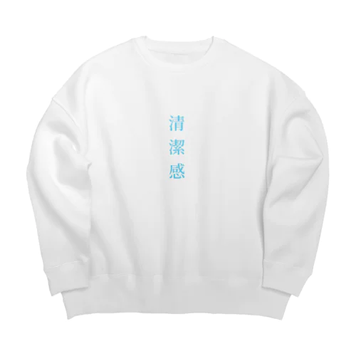 清潔感 Big Crew Neck Sweatshirt