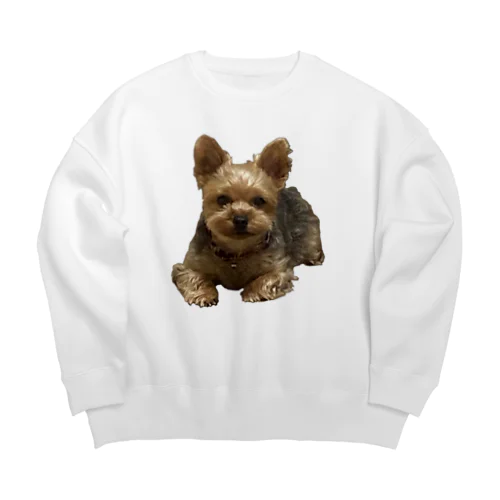 画質悪めな犬 Big Crew Neck Sweatshirt