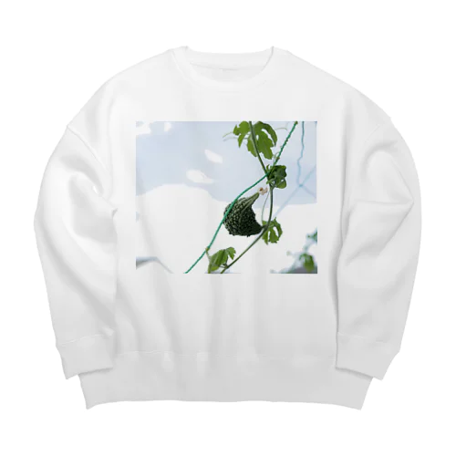 小さいゴーヤ Big Crew Neck Sweatshirt