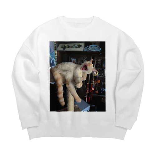 猫ピ デカデカスウェット Big Crew Neck Sweatshirt