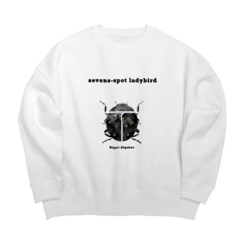 ナナホシテントウ Big Crew Neck Sweatshirt