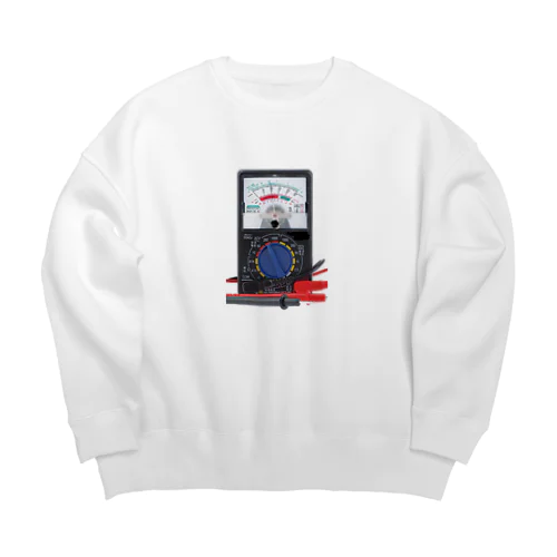 テスター Big Crew Neck Sweatshirt