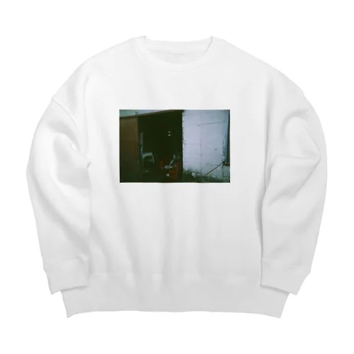 9歳初めてフィルムカメラで撮ったよ5 Big Crew Neck Sweatshirt