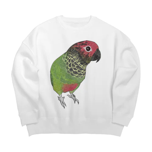 可愛いバライロビタイウロコインコちゃん【まめるりはことり】 Big Crew Neck Sweatshirt