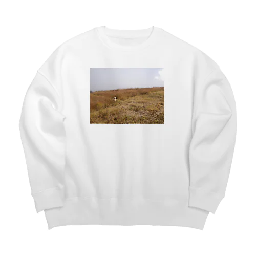 アメコカのルーちゃん Big Crew Neck Sweatshirt