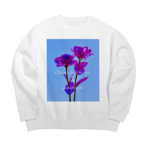 オーロラローズ ～美しいものは儚い～ Big Crew Neck Sweatshirt