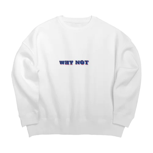 WHY NOT Big Crew Neck Sweatshirt