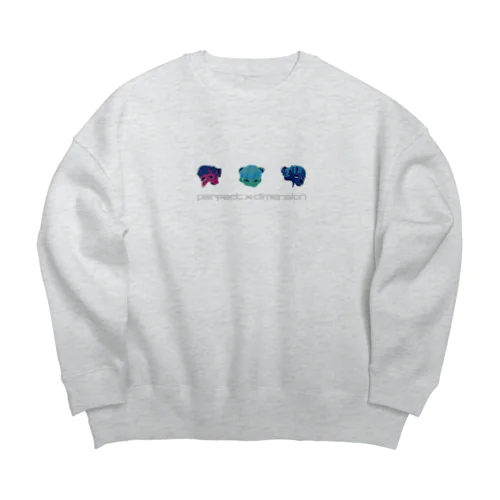 perfect x-dimension Big Crew Neck Sweatshirt