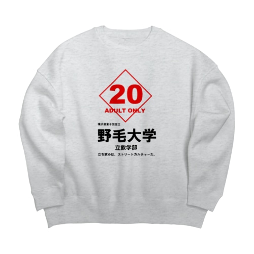 野毛大学 Big Crew Neck Sweatshirt