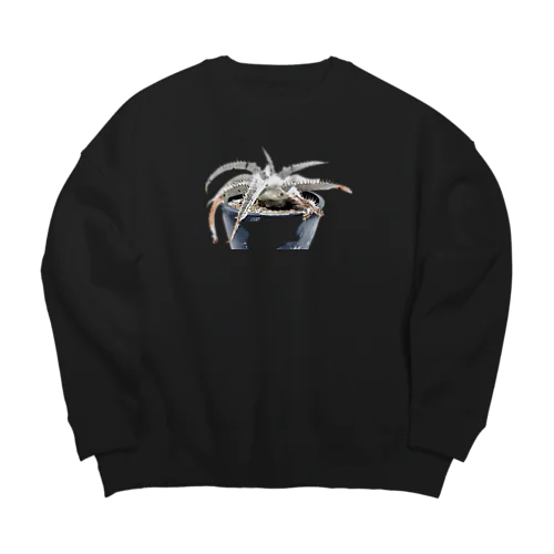 ディッキア　マルニエルラポストレイ Big Crew Neck Sweatshirt