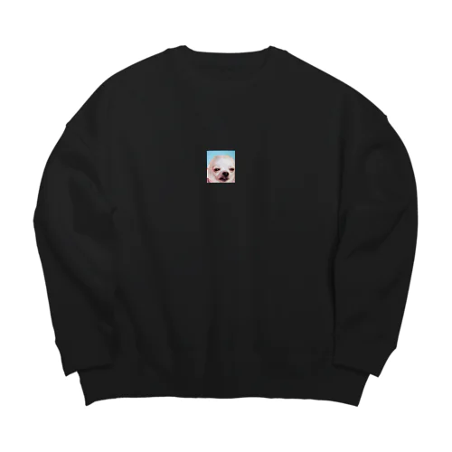 coothef Big Crew Neck Sweatshirt