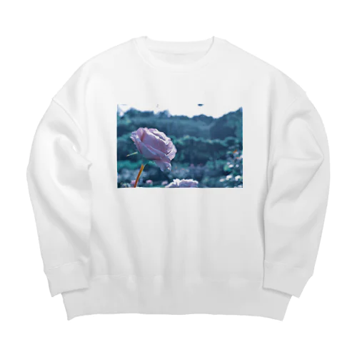 00 Big Crew Neck Sweatshirt