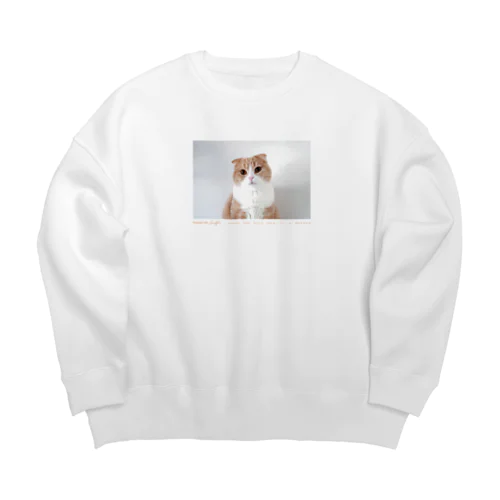 Souffle Photo #1 [Doyagao] Big Crew Neck Sweatshirt