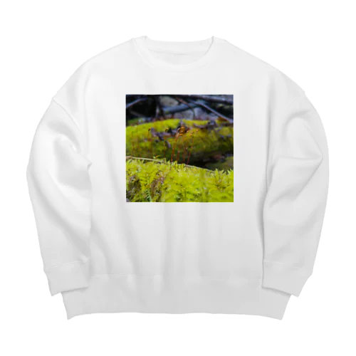 苔ちゃん Big Crew Neck Sweatshirt