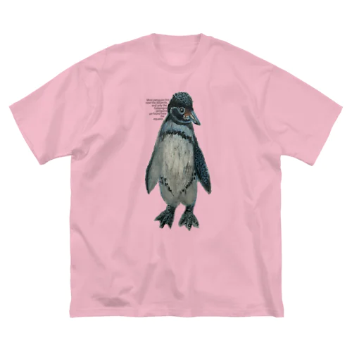 ガラパゴスペンギン・クレパス画 ビッグシルエットTシャツ