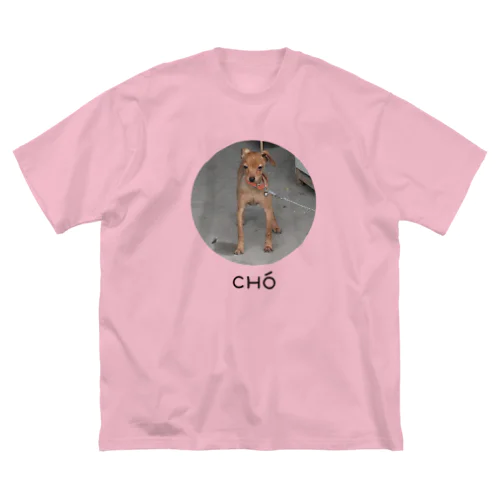 ベトナムで出会ったかわいい犬さん Big T-Shirt