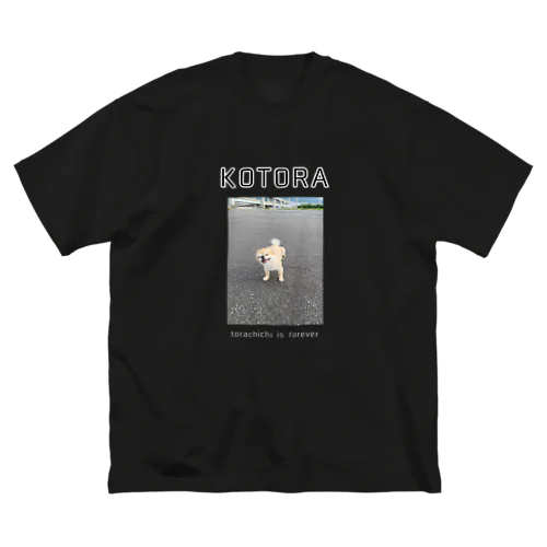 かいかいするとらちち Big T-Shirt