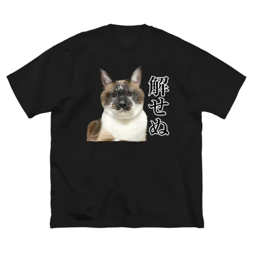 解せぬ ビッグシルエットTシャツ