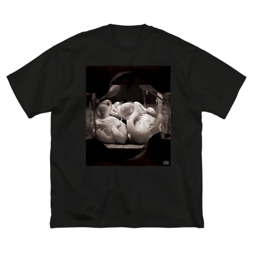 Frame01 Flamingo Big T-Shirt