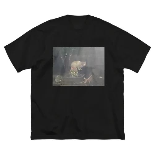 祖母んちによく来る野良猫 Big T-Shirt