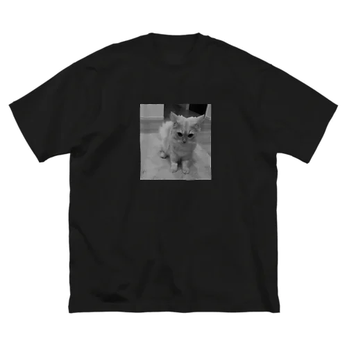 める１ Big T-Shirt