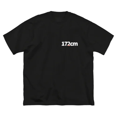 172cm ビッグシルエットTシャツ