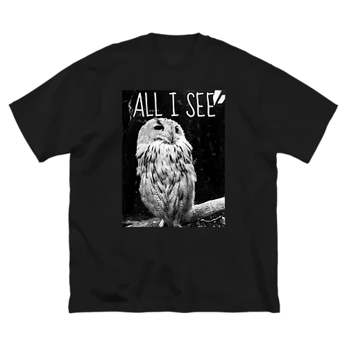 ALL I SEE ビッグシルエットTシャツ