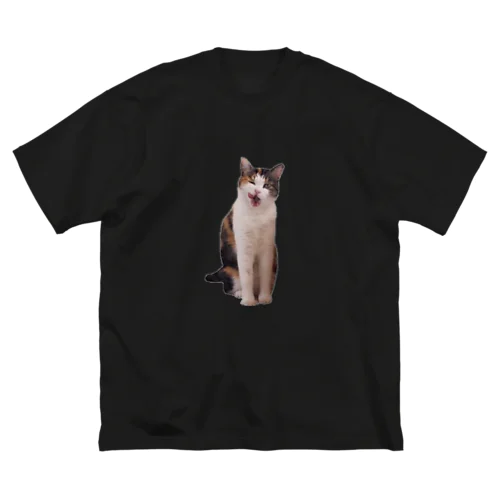 みけねこちぃちゃん ビッグシルエットTシャツ