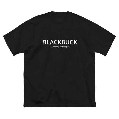 BLACKBUCK ビッグシルエットTシャツ