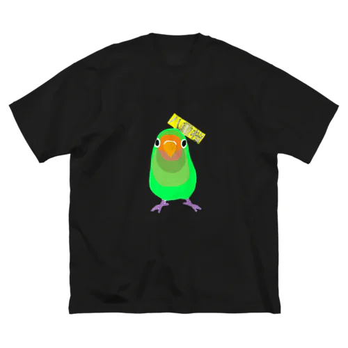 ヤエザクラインコさん ビッグシルエットTシャツ