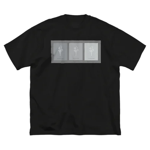 3 frame gray Big T-Shirt