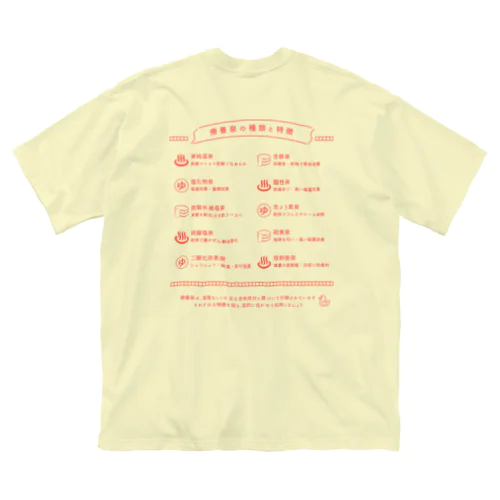 療養泉の種類と特徴（赤・両面） ビッグシルエットTシャツ