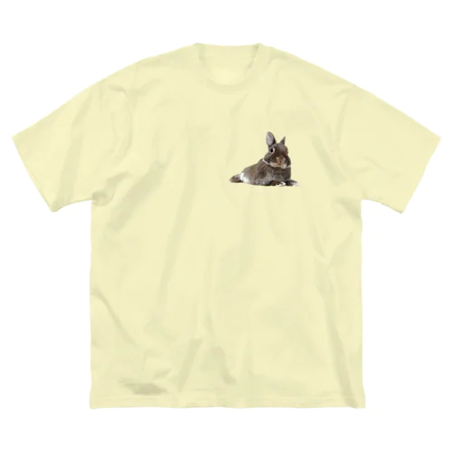 うさぎのほーりー① ビッグシルエットTシャツ