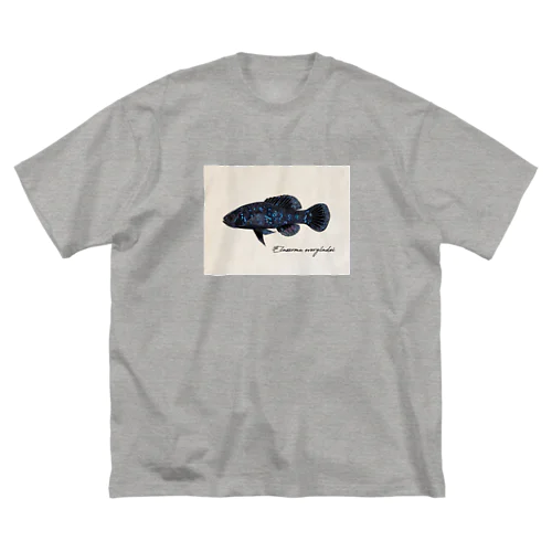 Elassoma evergladei ビッグシルエットTシャツ