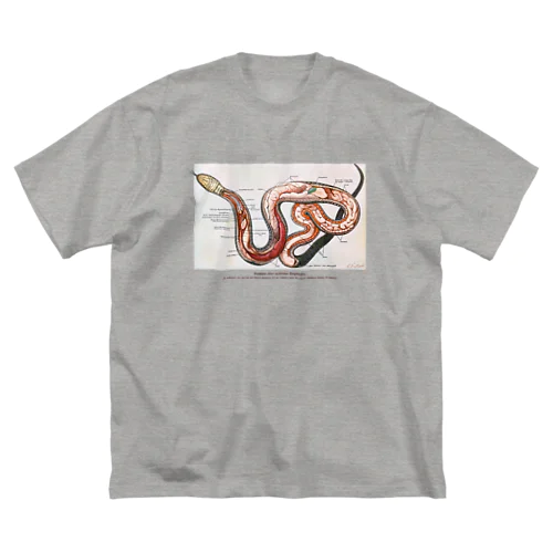 ヘビの解剖 ビッグシルエットTシャツ