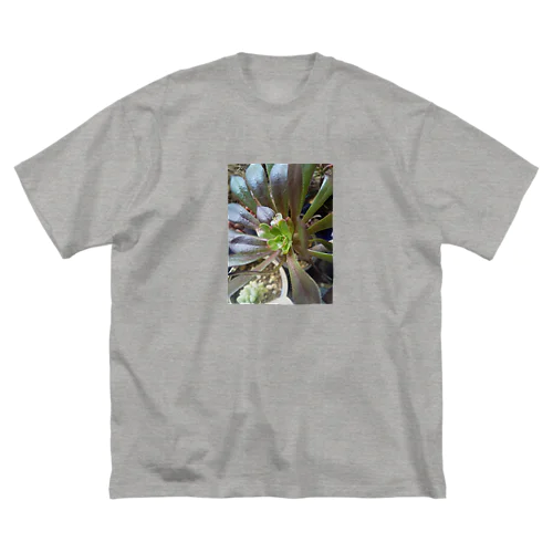 多肉植物の黒法師 Big T-Shirt