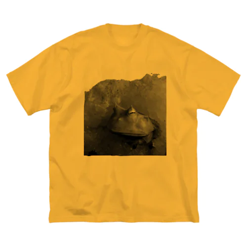 巌窟王の蛙 ビッグシルエットTシャツ