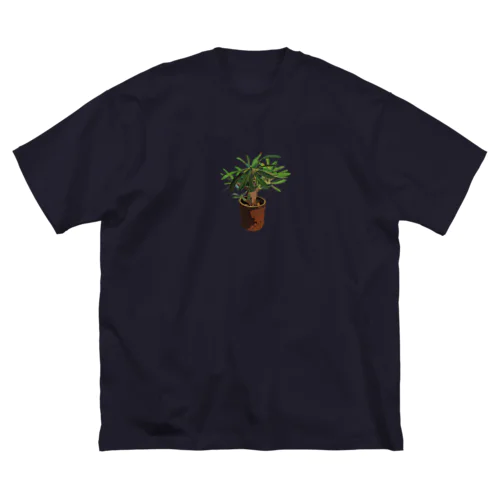 Pachypodium densiflorum Big T-Shirt