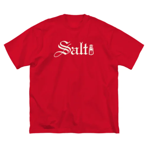 SALT (KINARI) ビッグシルエットTシャツ