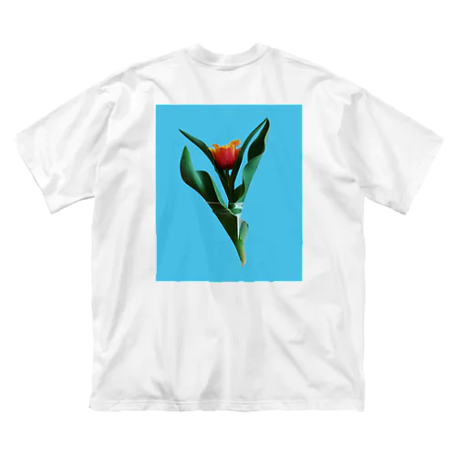 <back print>Tulipa cv. lambada Big T-Shirt