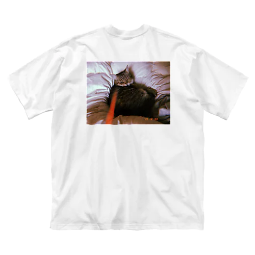 bed room cat 루즈핏 티셔츠