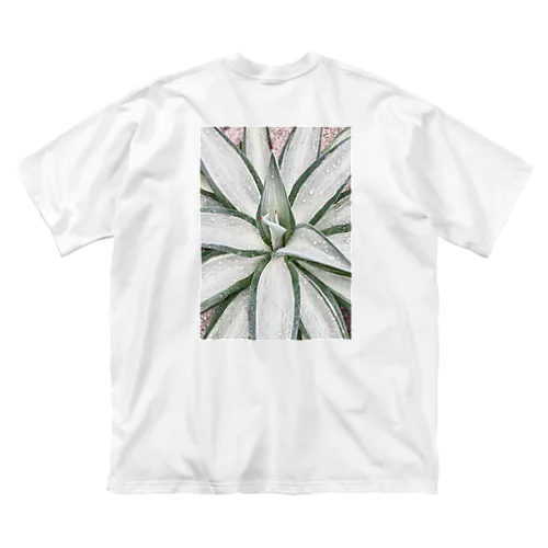 agave tシャツ ビッグシルエットTシャツ