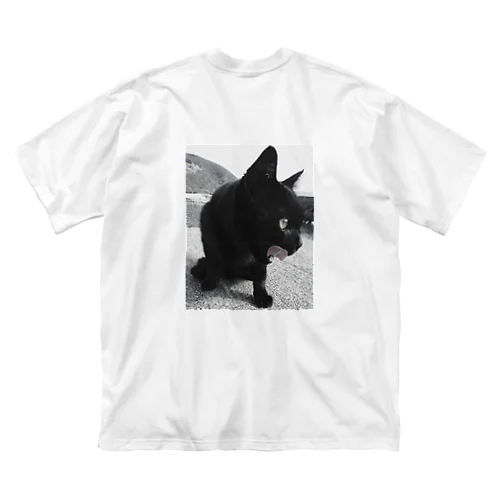 HF 波止場の猫ちゃん フォトプリント ビッグシルエットTシャツ