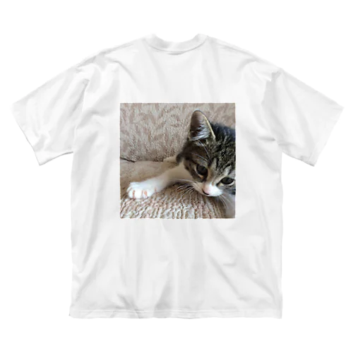 こねこのパル～南の島のにゃんこ～ Big T-Shirt