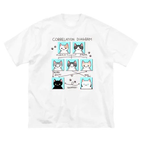 ねこさんの相関図 Big T-Shirt