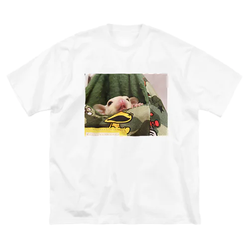 フクロモモンガの変顔 Big T-Shirt